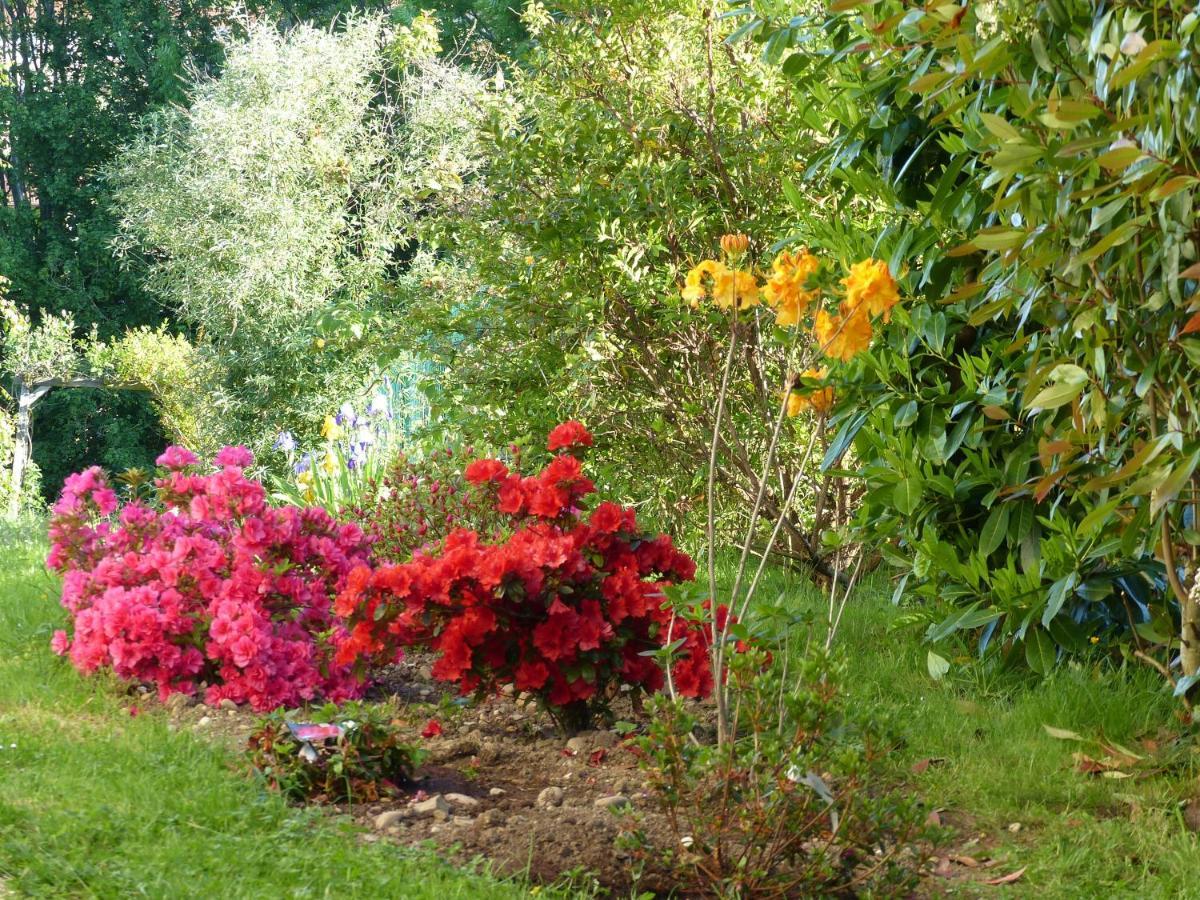 Bed and Breakfast Les Enselmes Montagnieu  Екстер'єр фото