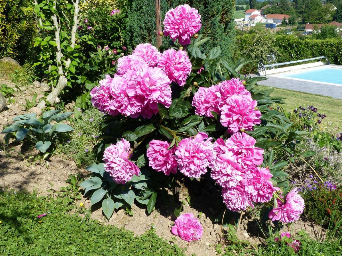 Bed and Breakfast Les Enselmes Montagnieu  Екстер'єр фото